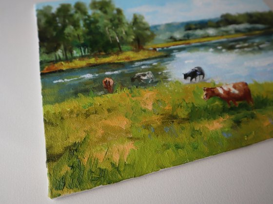 Cows by the Riverside, Pastoral Scene