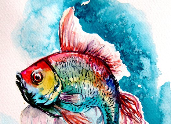 Colorful fish