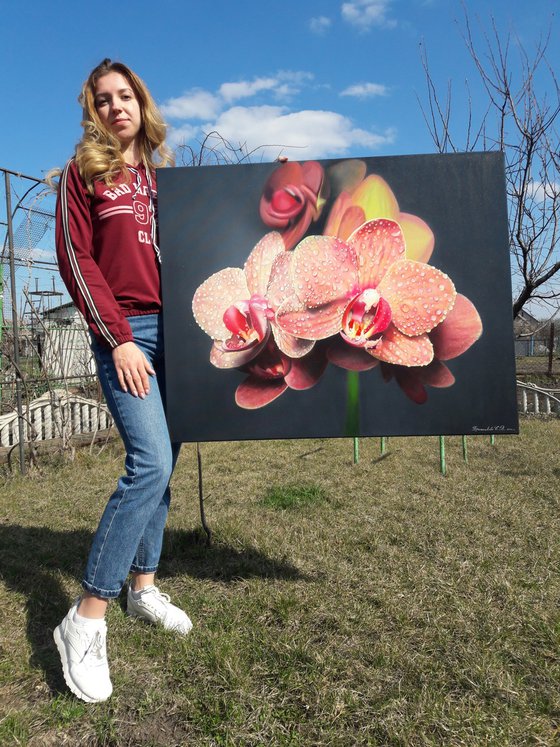 Orange orchid Hyperrealism of orange flowers. Flowers with drops of dew on the petals. Realistic painting of orchids.