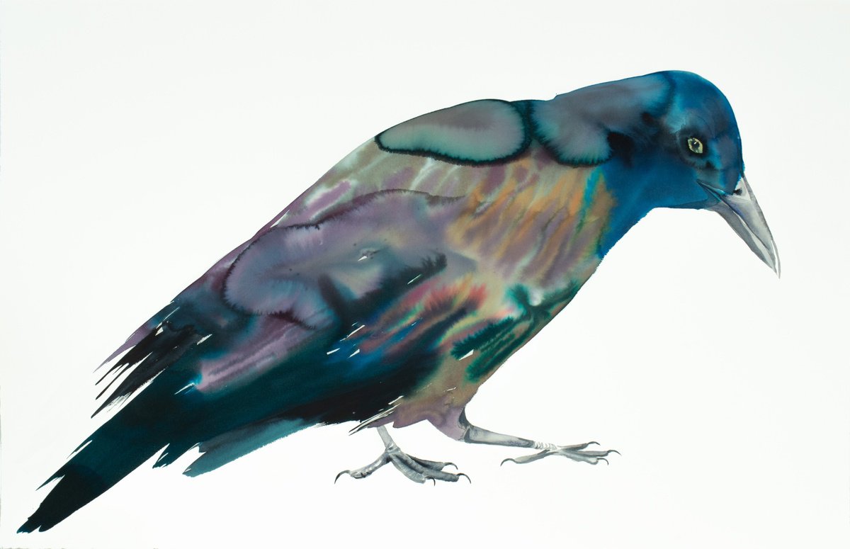 Expressive Animal Watercolour By Elizabeth Becker, 40 X 26, Grackle No. 4, Original Artwork