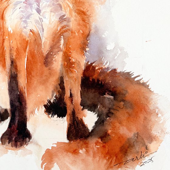 Red Fox _Winter's Watch