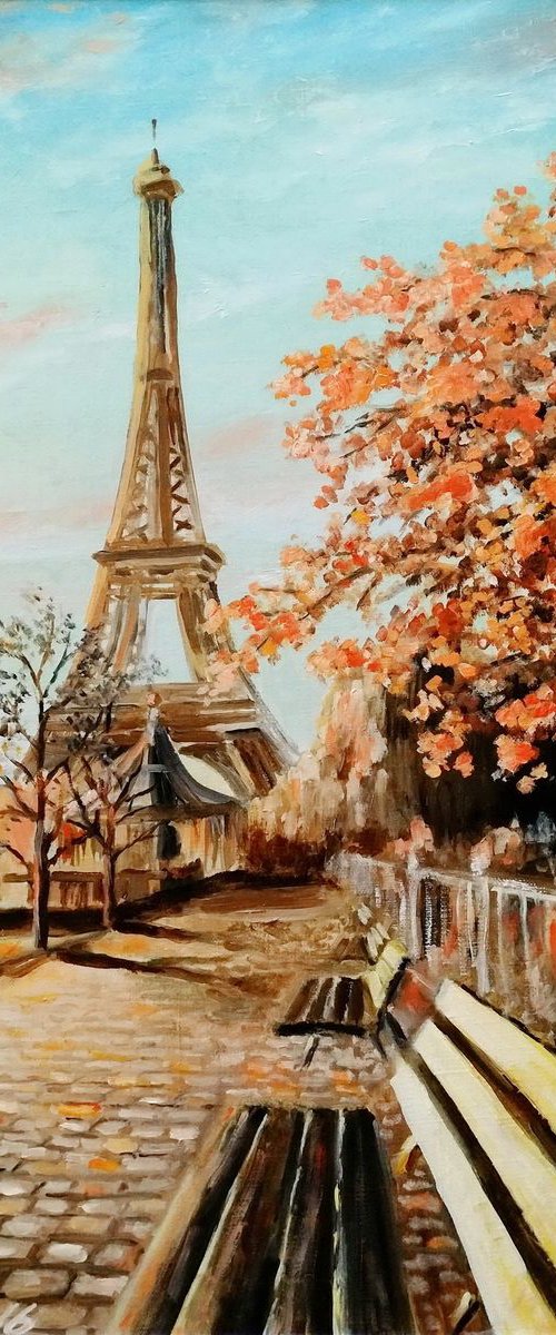 The sky over Paris by Oleh Rak