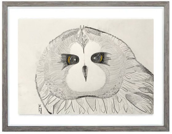 Owl Big Face / Bird Art / Animals & Birds / Animal Portrait / Owl Art / Bird Art / Black and White / Original Artwork / Gifts For Her / Home Decor Wall Art 11.7"x16.5"