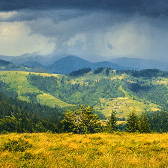 On the mountain pasture.