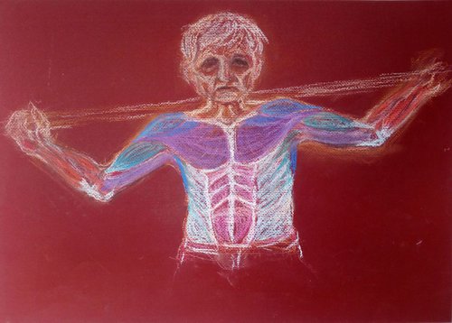 frontal torso muscules by Sara Radosavljevic
