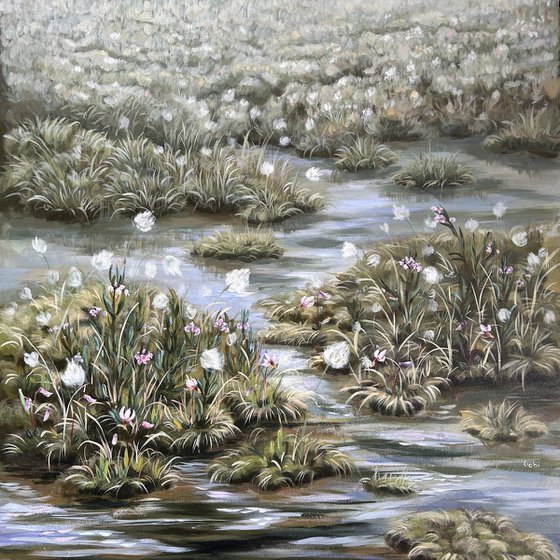 The Bog in Spring