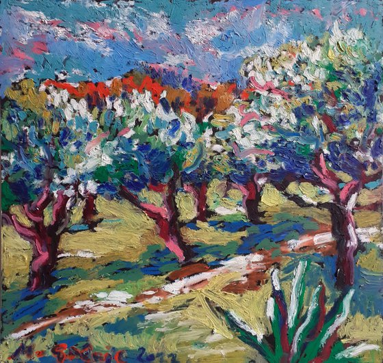 Olive grove No 34