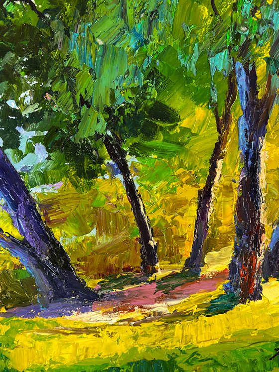 Summer Forest Glade