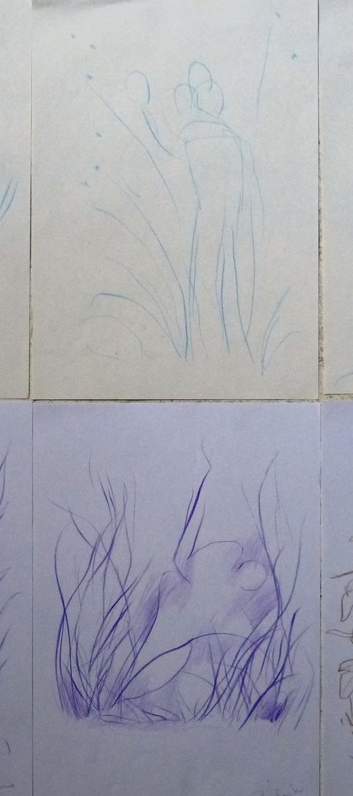 Six sketches - Plant Forms, 21x29 cm - affordable & AF exclusive ! by Frederic Belaubre