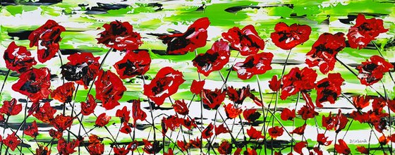 Red Poppies