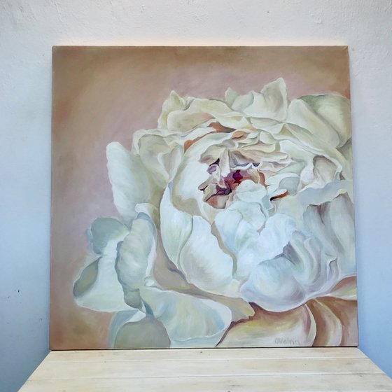 Pastel Peony