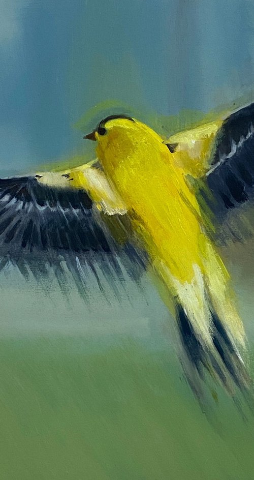 Gold Finch by Dennis Crayon