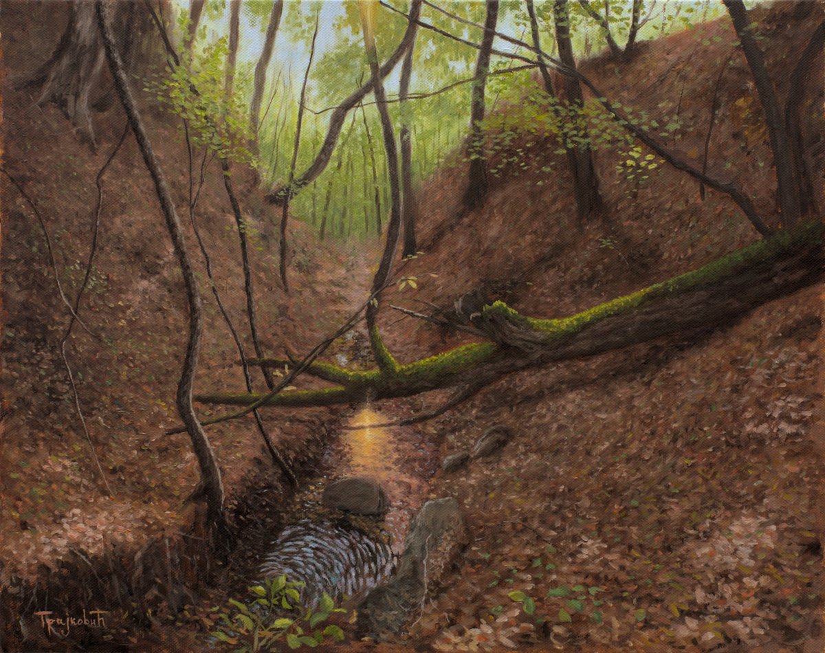 Forest Stream by Dejan Trajkovic