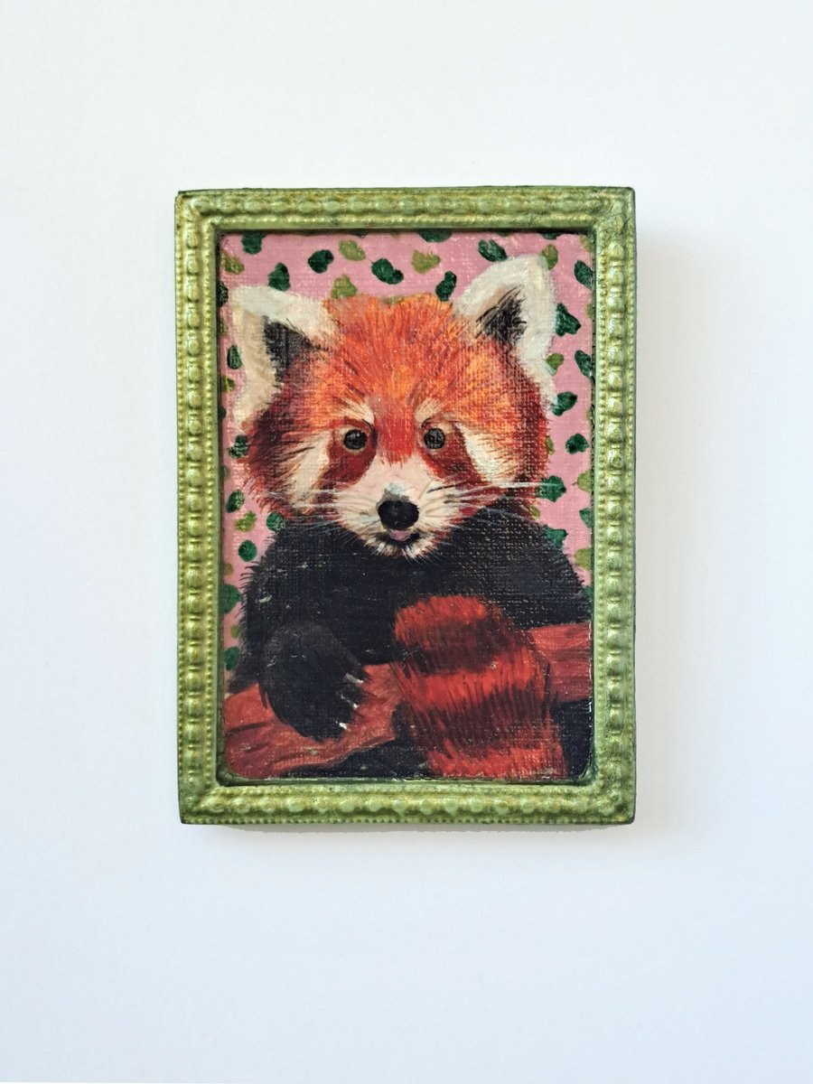 Red panda, part of framed animal miniature series festum animalium by Andromachi Giannopoulou