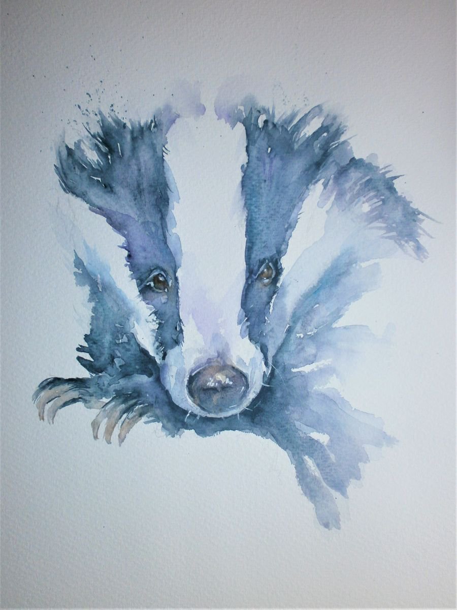 Brock the Badger by Sue  Green