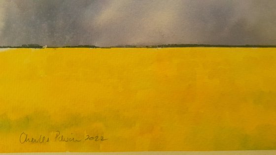 Fields of Gold