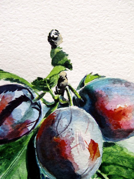 Plum
