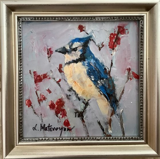 Blue Jay, Cardinal