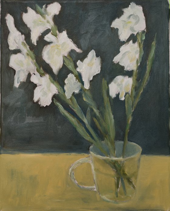 White Gladioluses