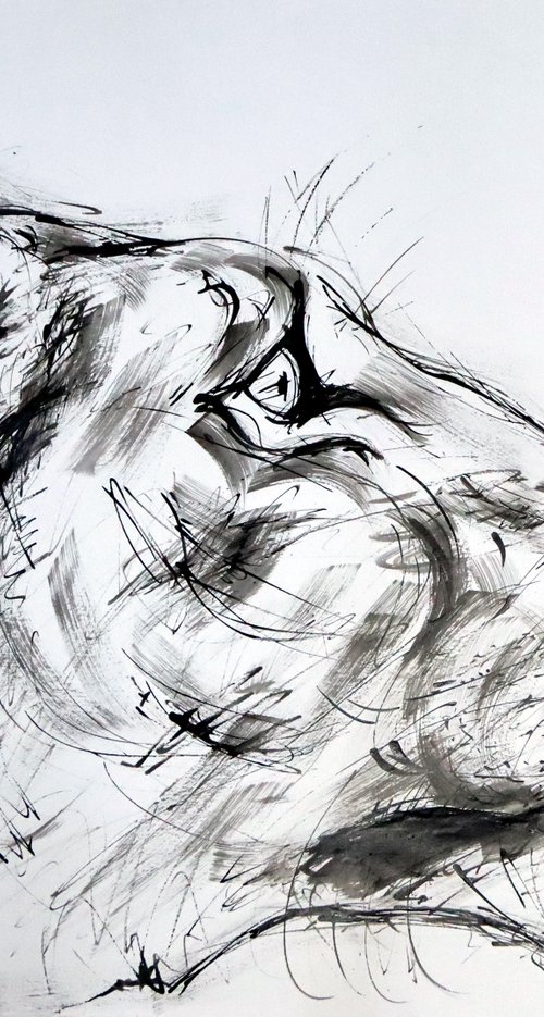 LIONNE, EXPRESSIVE INK drawing by Lionel Le Jeune