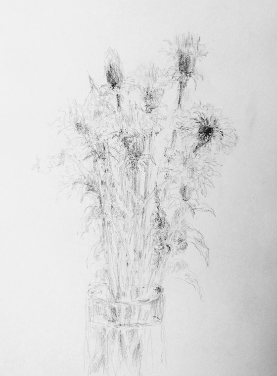 Dandelions. Original pencil drawing.