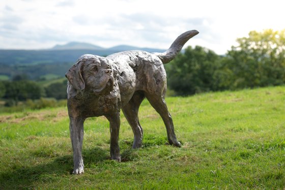 St Bernard Bronze Resin Sc