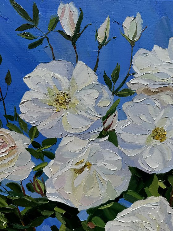 Glowing white roses