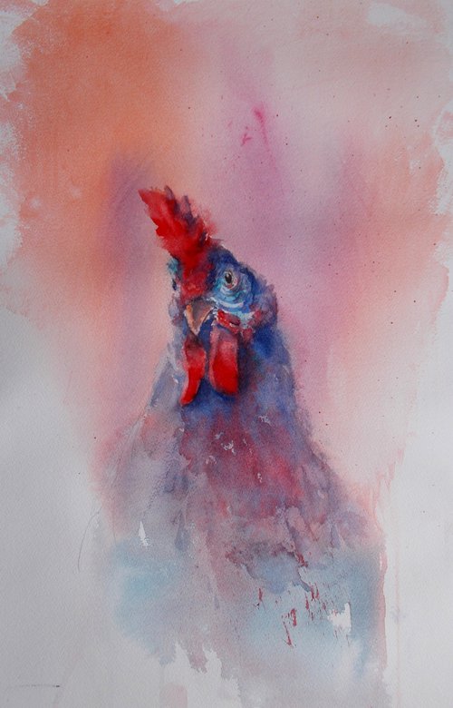 rooster 14 by Giorgio Gosti