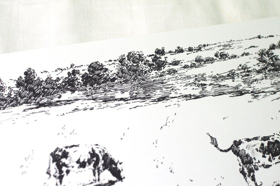 Grazing cows
