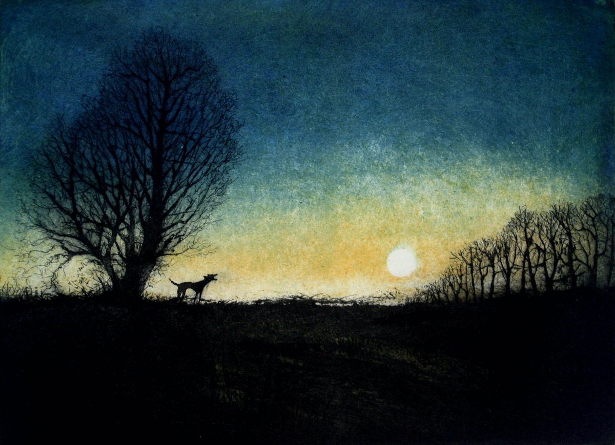 A Bark in the Night by Tim Southall