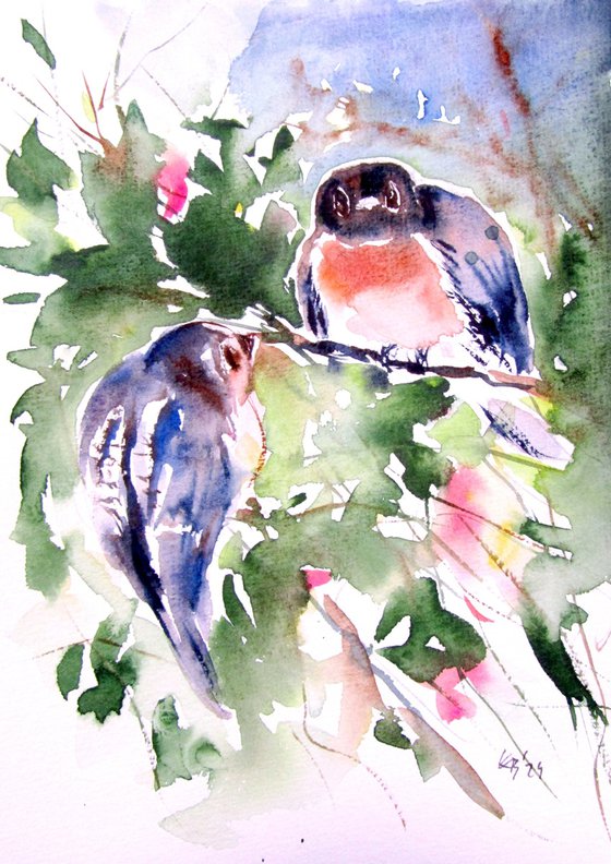 Little birds collection