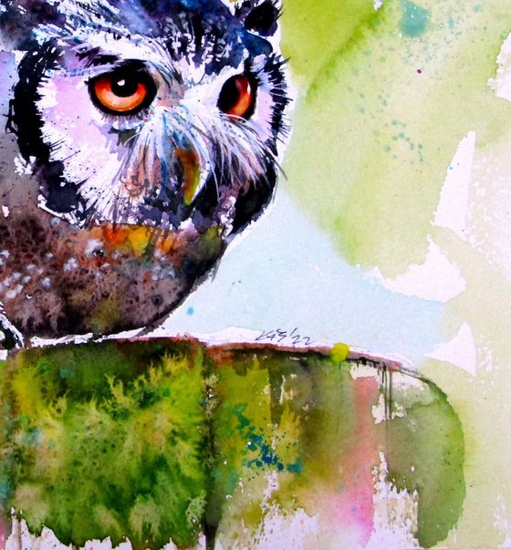Resting owl