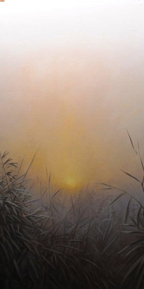 Sunset by Gerard Kramer