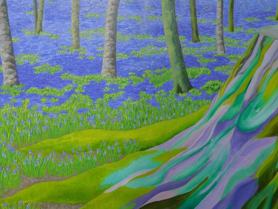 The Bluebell Wood