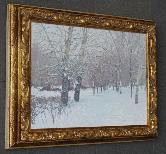 Snow-covered boulevard in Maryino
