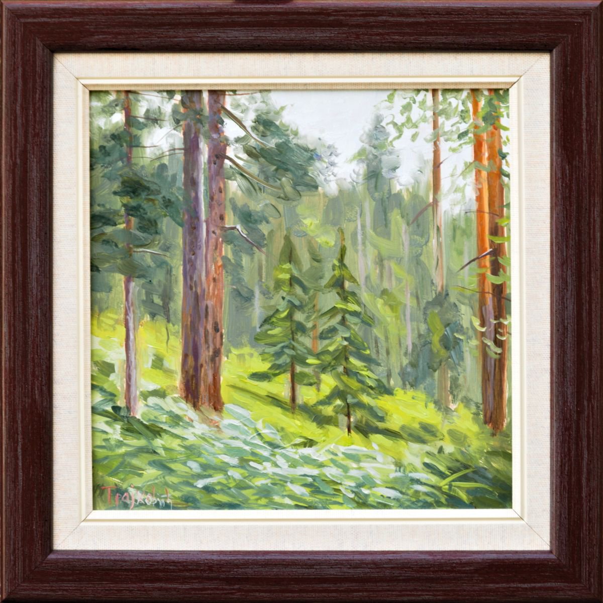 Glade in Pine Forest by Dejan Trajkovic