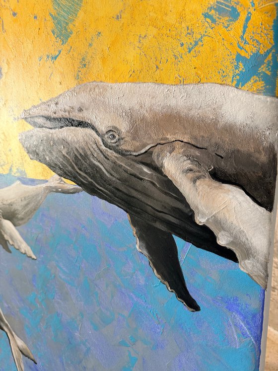 Whales and the Sun
