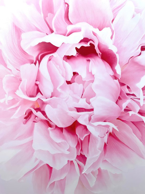 Ethereal II. Macro Peony