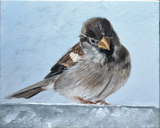 Little Sparrow