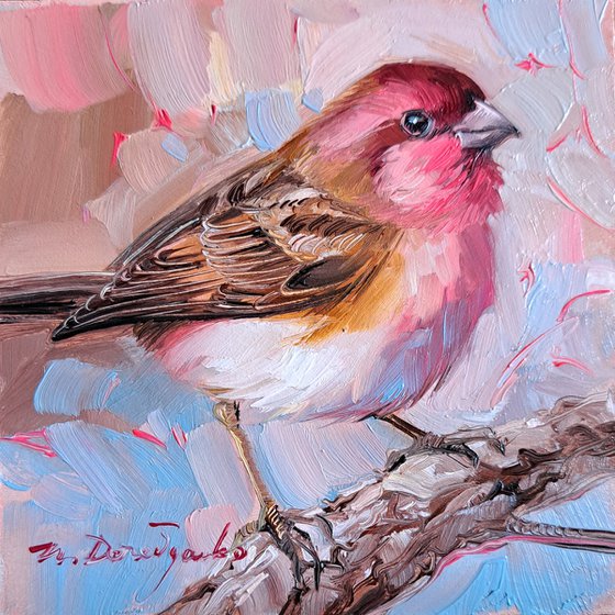 Bird Rosefinch