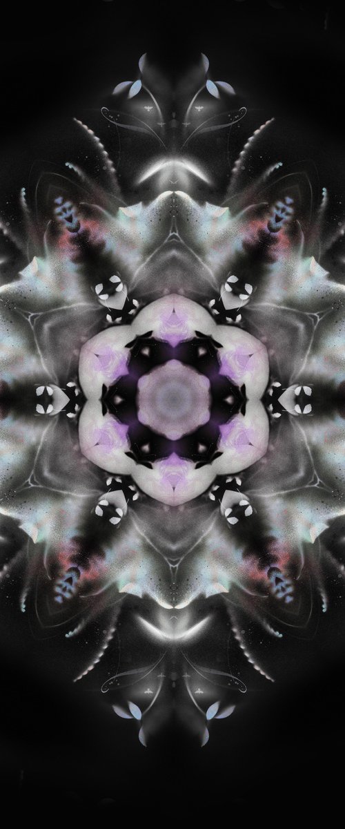 Diamond by Teis Albers