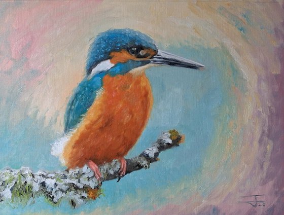 Kingfisher on the lichen
