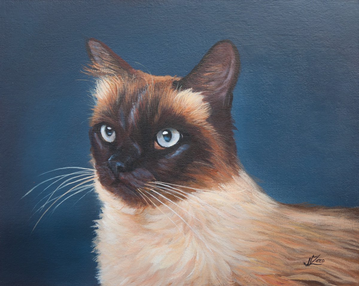Siamese cat 3 by Norma Beatriz Zaro