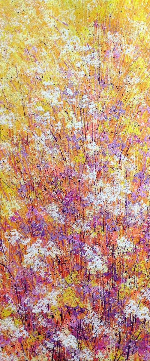 Early Autumn Colours by Marc Todd