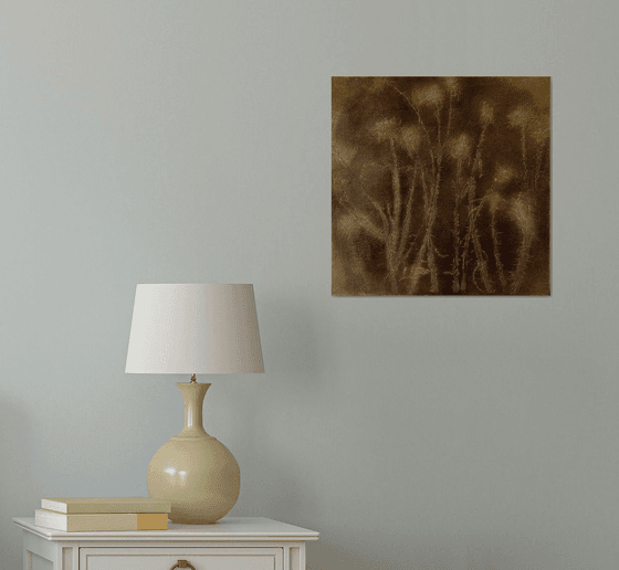 Dried Thorns