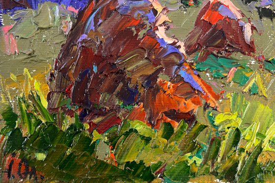 Colors of еvening