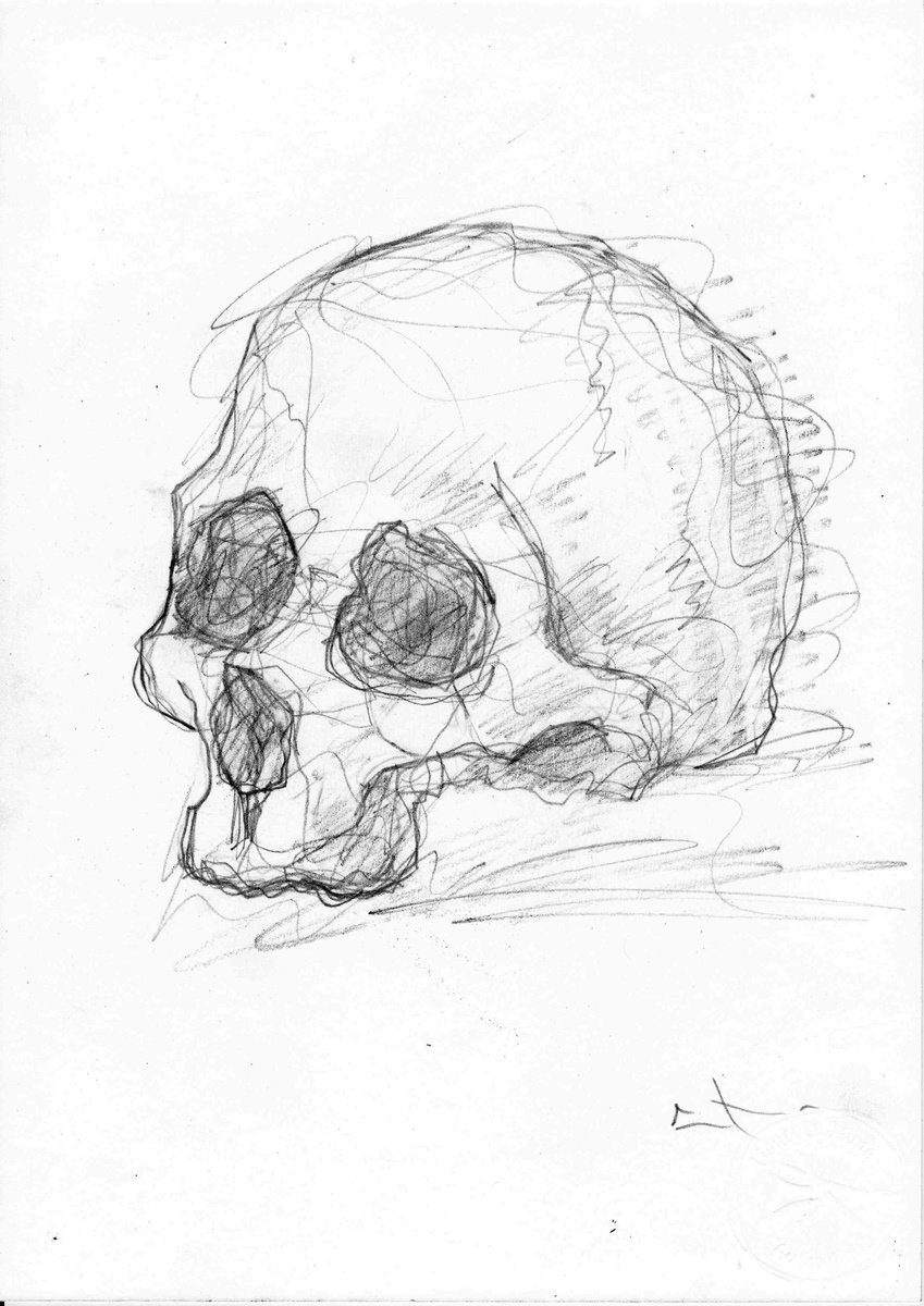 Expressive Portrait Pencil Drawing By Lionel Le Jeune, 8 X 12", Skull, Original Artwork