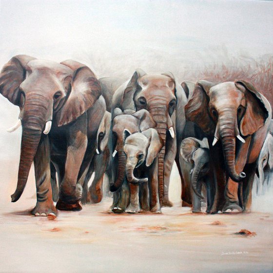 Herd of Elephants