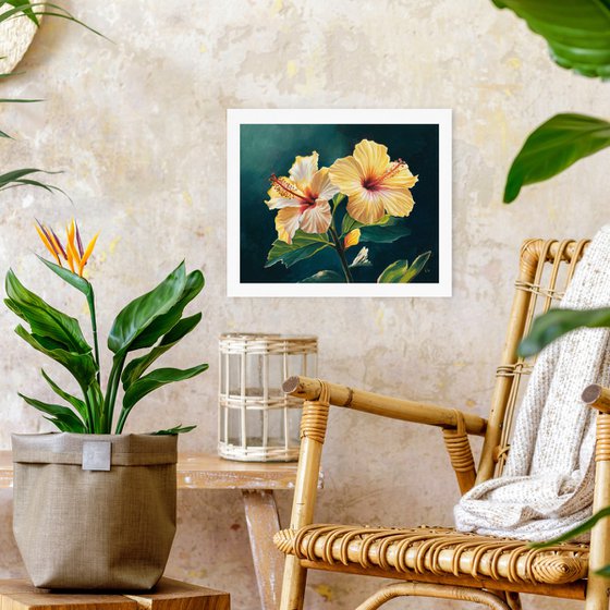 Two yellow hibiscus flowers