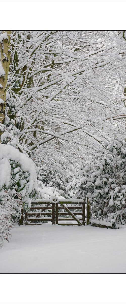 Snowy Gate by Martin  Fry